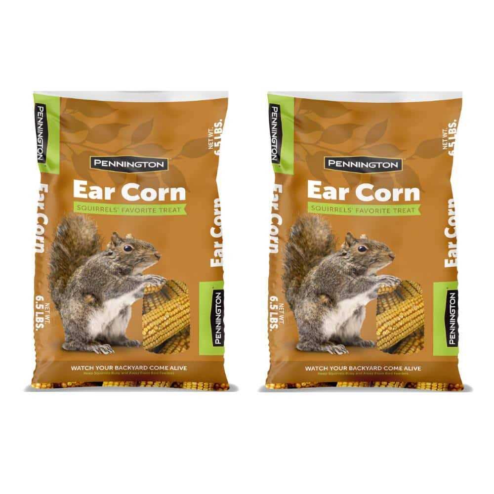 Squirrels Ear Corn Cobs Pet Supplies T70297