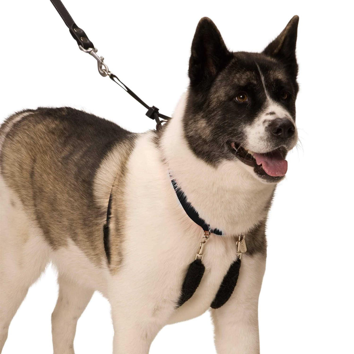 Pet Halter D46181